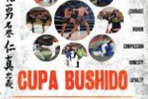 Cupa BUSHIDO