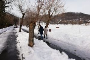 Tristetea Parcului “Regina Maria”. Ambient Urban e in concediu?